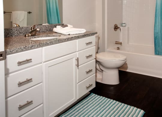 Custom Vanity Storage at Victoria Flats, Minnesota