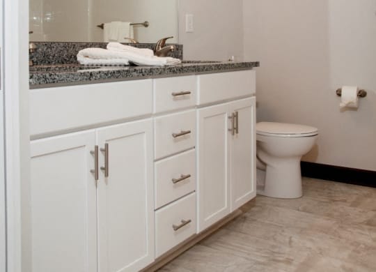 Modern Vanity Lights at Victoria Flats, Victoria, MN, 55386