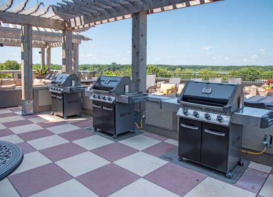 Rooftop patio grilling stations at Victoria Flats, Minnesota