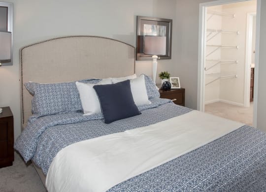master bedroom with walkin closet, queen bed