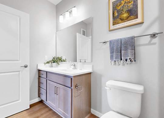 A bathroom with a white toilet, a vanity with a mirror, and a painting on the wall.