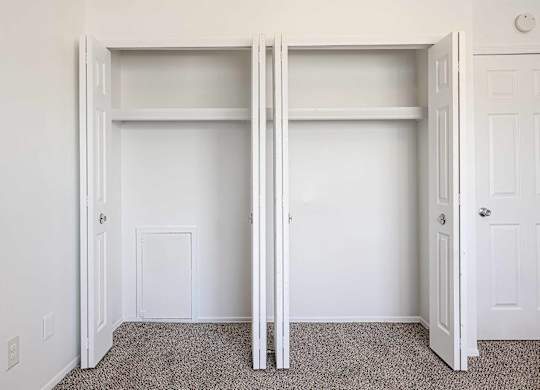 A white closet with a carpeted floor and two doors.