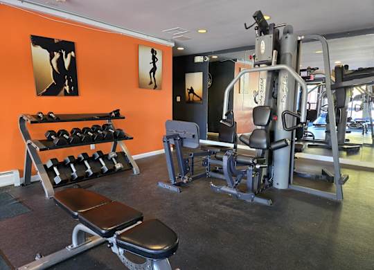 a gym with weights and cardio equipment in a building with orange walls