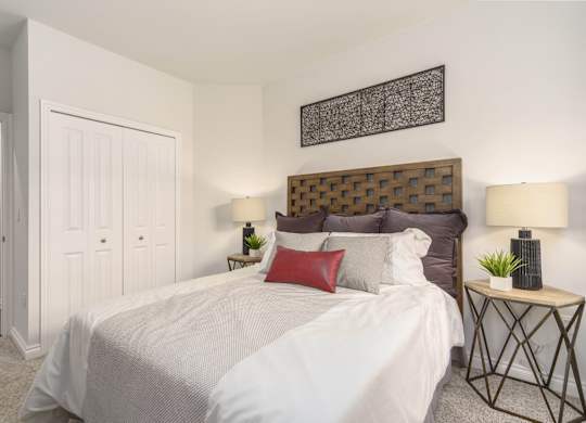 a bedroom with a large bed and a closet
