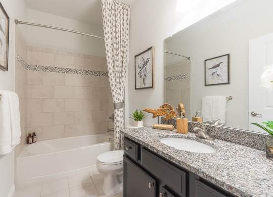 a bathroom with a sink and a toilet and a bath tub