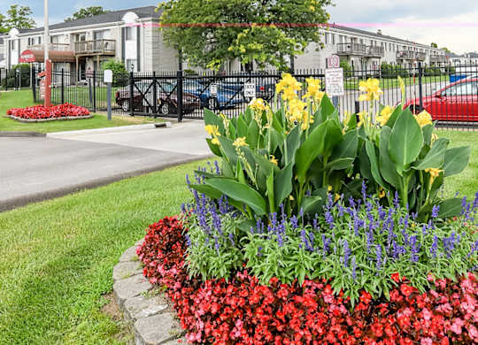 A flower bed with red, pink, and purple flowers in front of a building with a flag.