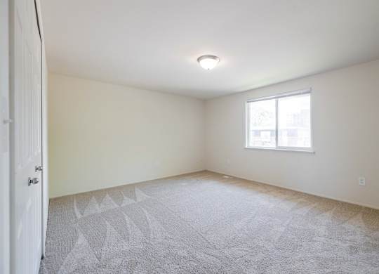 A room with a carpeted floor and a window.