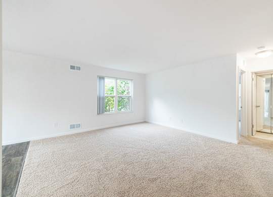 A large, empty room with a carpeted floor and a window.
