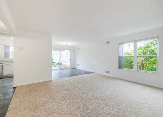 A large, empty room with a carpeted floor and a window overlooking a green outdoor area.