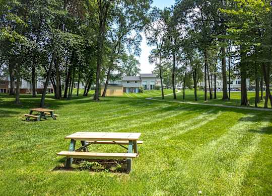 A picnic table sits in a grassy field with trees in the background.