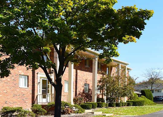 A tree in front of a red brick house.