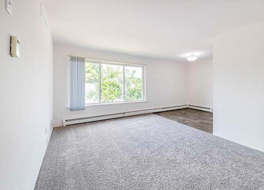 A room with a carpeted floor and a window with curtains.