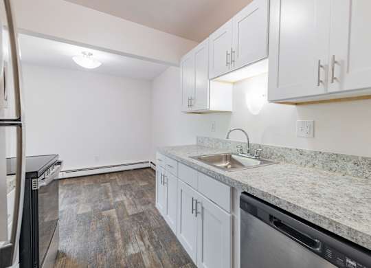 A kitchen with a sink and a dishwasher.