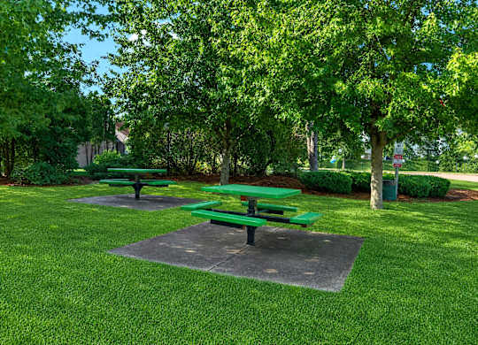 Picnic tables are set up in a green park.
