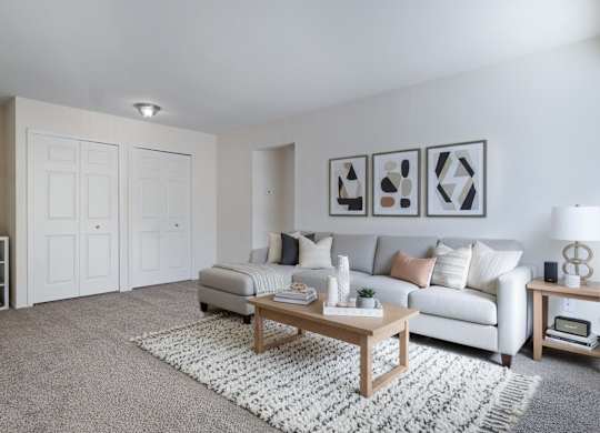 A living room with a grey sofa, a wooden coffee table, and a grey rug.