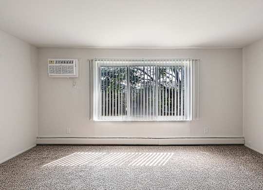 A room with a window and a carpet on the floor.