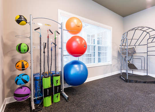 A room with a variety of exercise equipment including a blue exercise ball, a black and yellow ball, and a black and green ball.