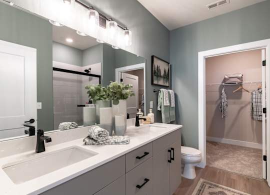 a bathroom with a sink and a mirror and a toilet