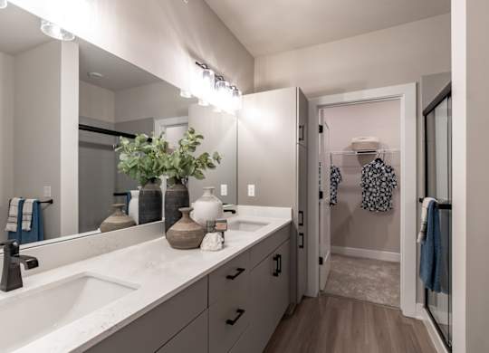 a bathroom with two sinks and a large mirror