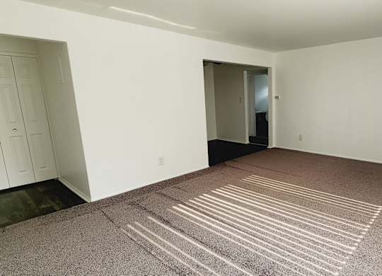 A room with a carpet and a door.