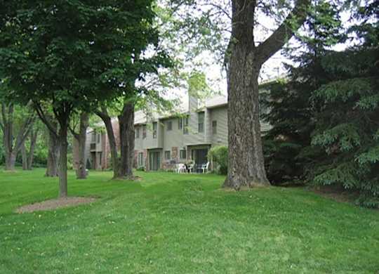 a large yard with trees and a house in the background