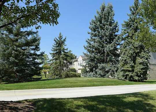 a yard with trees and a house in the background