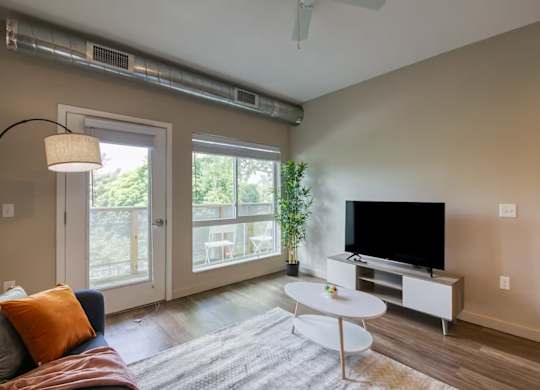 A living room with a couch, a television, and a plant.