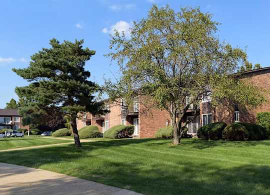 A large tree is in front of a brick building.