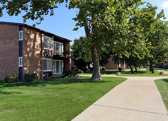 A tree is in front of a brick building.
