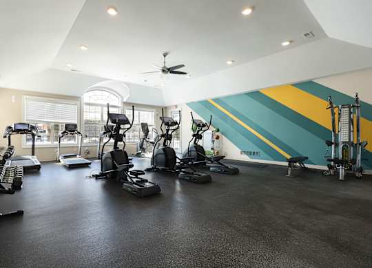 A gym with a variety of exercise equipment.