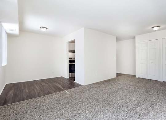 A room with white walls and a grey carpet.