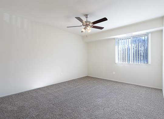 A room with a ceiling fan and carpeted floor.
