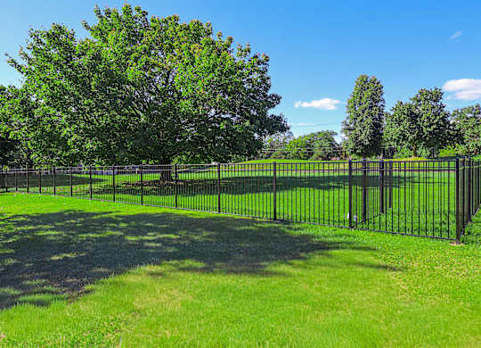A black fence encloses a grassy area with trees.