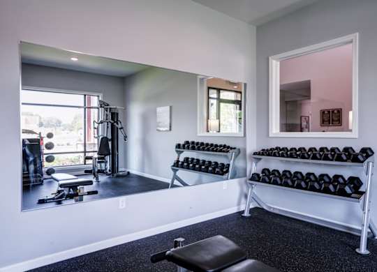 A gym room with a mirror, dumbbells, and a bench.