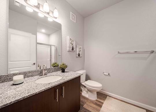 a bathroom with a toilet and a sink and a mirror