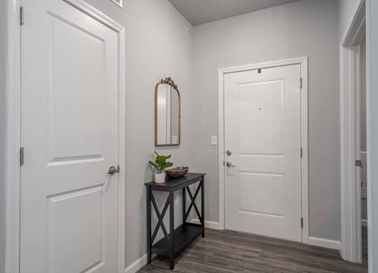A white door is on the left and a black table with a plant on it is in the middle of the room.