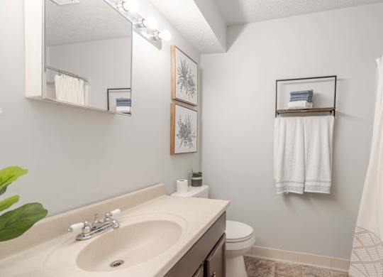 A bathroom with a sink, toilet, and a mirror.