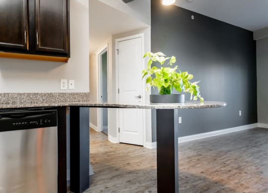 a kitchen with a granite counter top with a potted plant