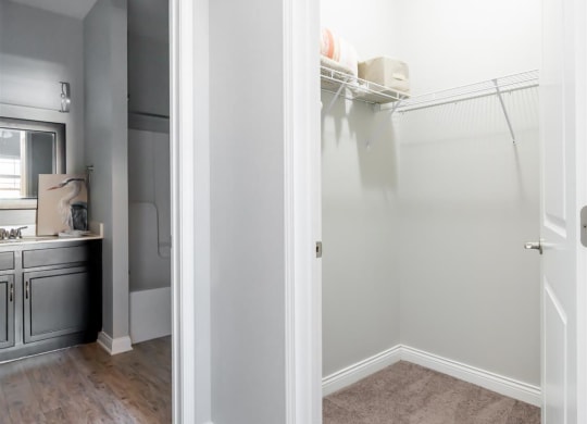 a bathroom with a closet and a sink and a mirror