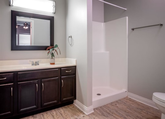 a bathroom with a sink and a shower and a mirror