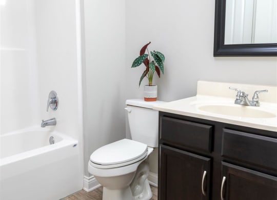 a bathroom with a toilet and a sink and a bath tub