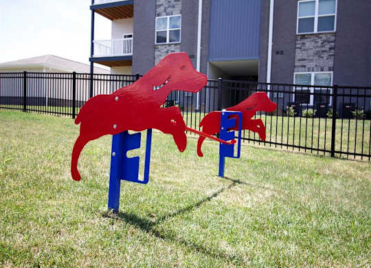 two red dogs sitting on chairs in the grass