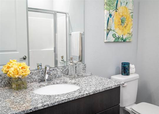 a bathroom with a granite counter top and a mirror