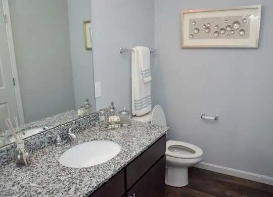 a bathroom with a sink and a toilet