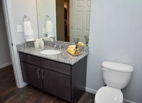 a bathroom with a toilet and a sink and a mirror