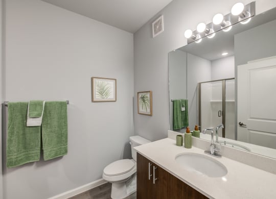 a bathroom with a sink and a toilet and a mirror