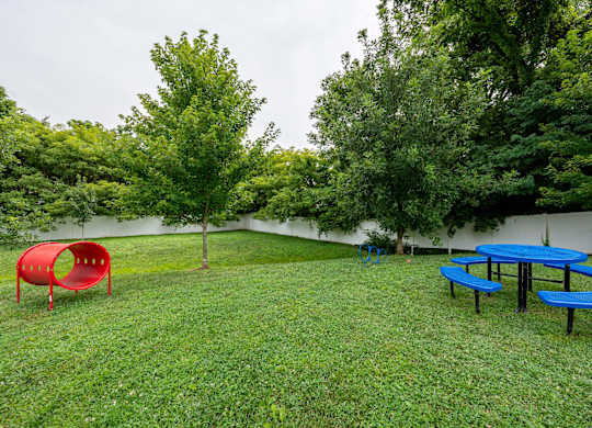 a group of picnic tables and benches in the grass