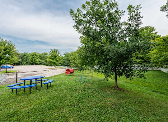 a park with a picnic table and a tree