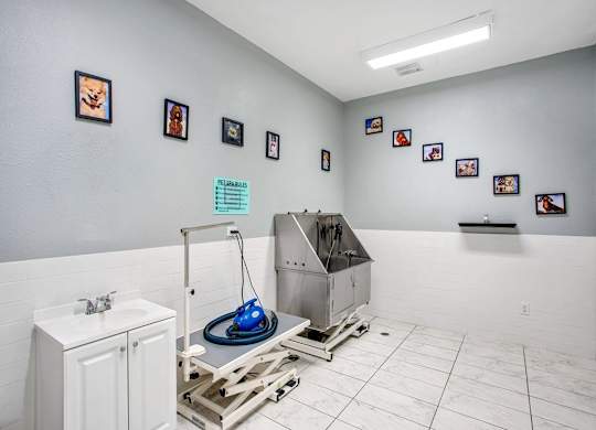 a room with a sink and a machine in it at Elements on Third Apartments, Florida, 33713