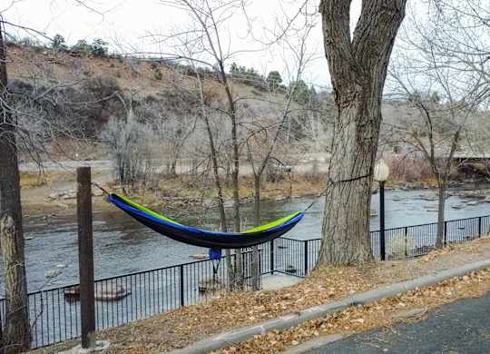Riverfront Hammock Relaxation